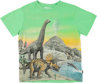 Jungen T-Shirt Rame Colourful Dinos