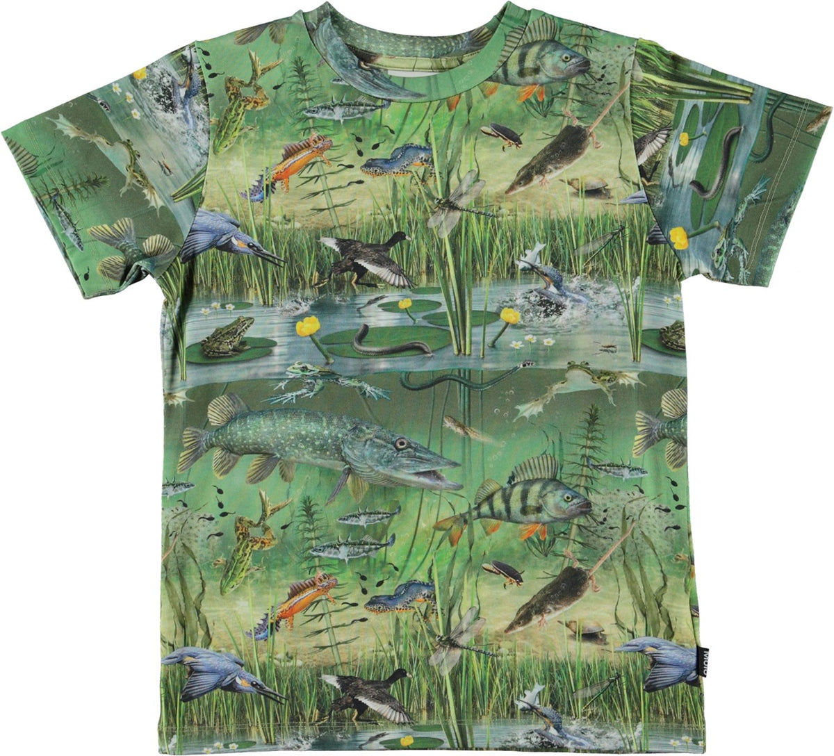 Jungen T-Shirt Ralphie Wondrous Pond Grün