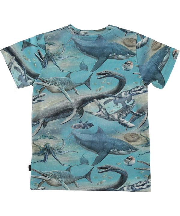 Jungen T-Shirt Ralphie Ancient Seas Blau
