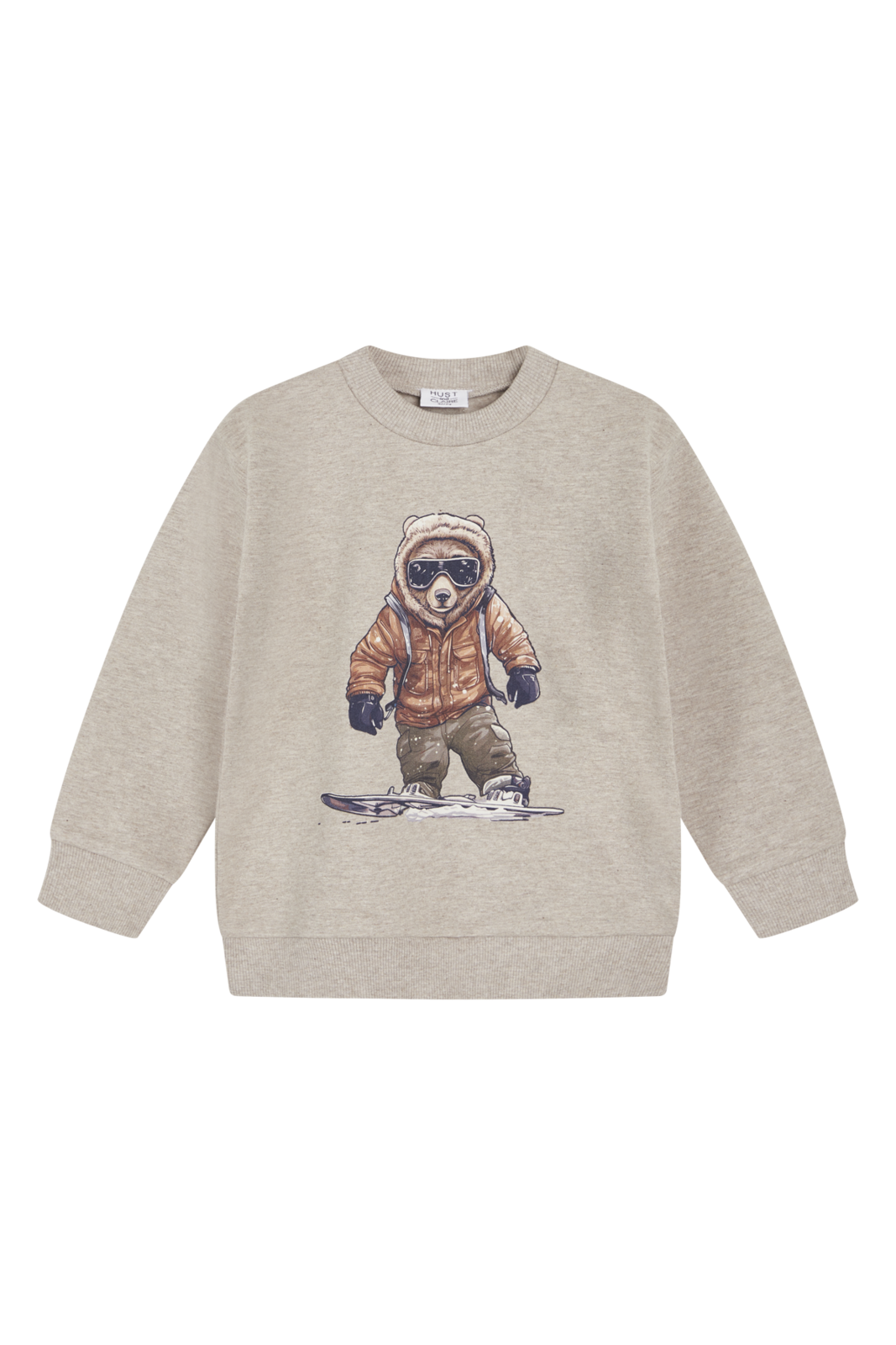 Baby Jungen Pullover Sejer 195 14973 Grau