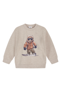 Baby Jungen Pullover Sejer 195 14973 Grau