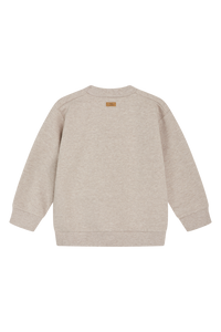 Baby Jungen Pullover Sejer 195 14973 Grau