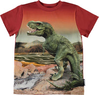 Jungen T-Shirt Road Dinosaurs