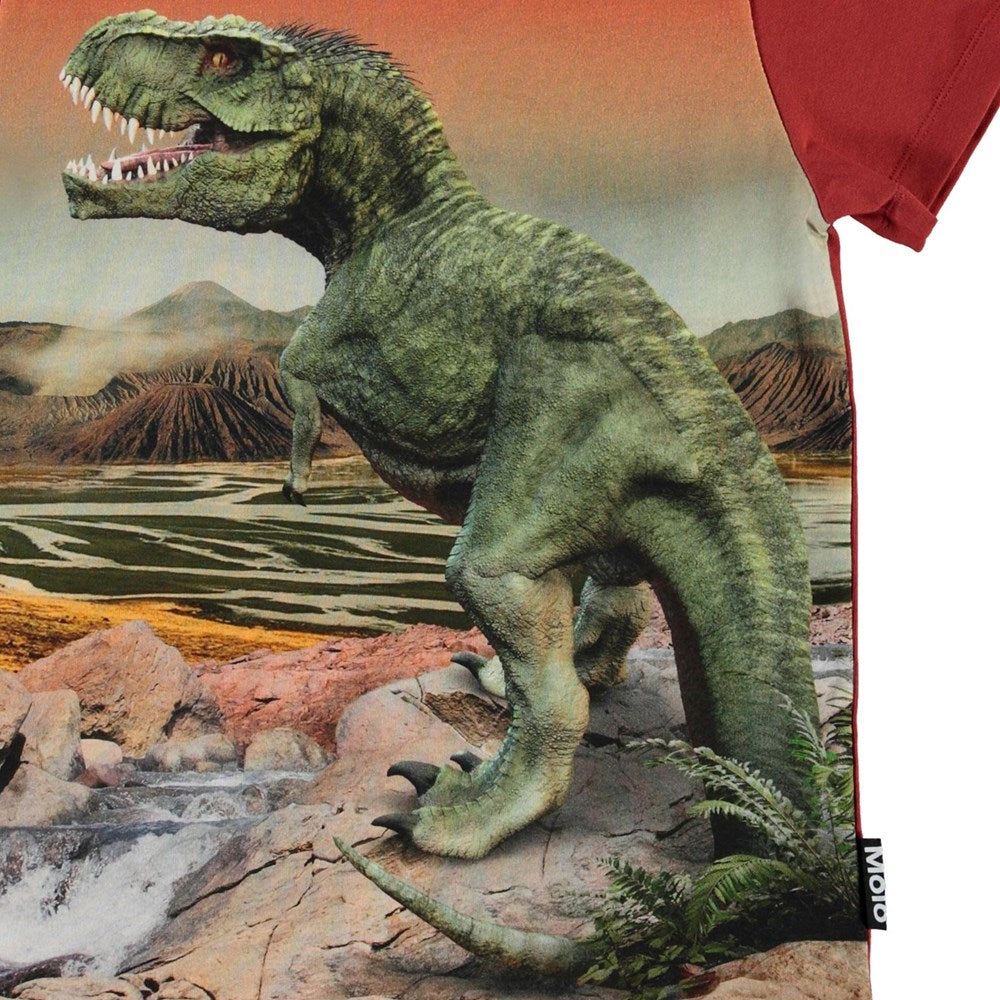 Jungen T-Shirt Road Dinosaurs