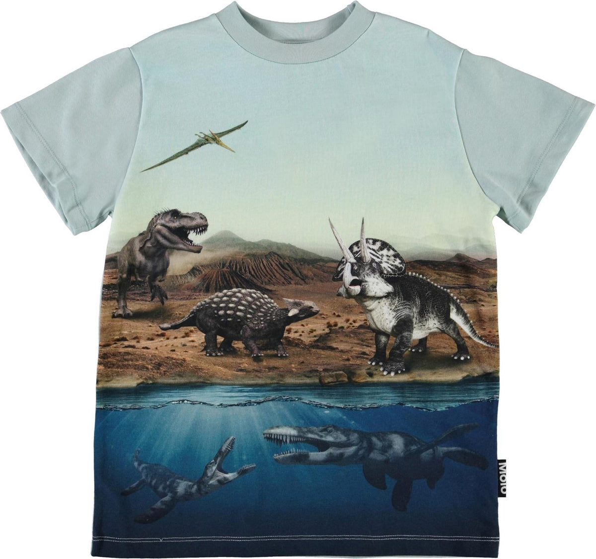 Jungen T-Shirt Road Dino World