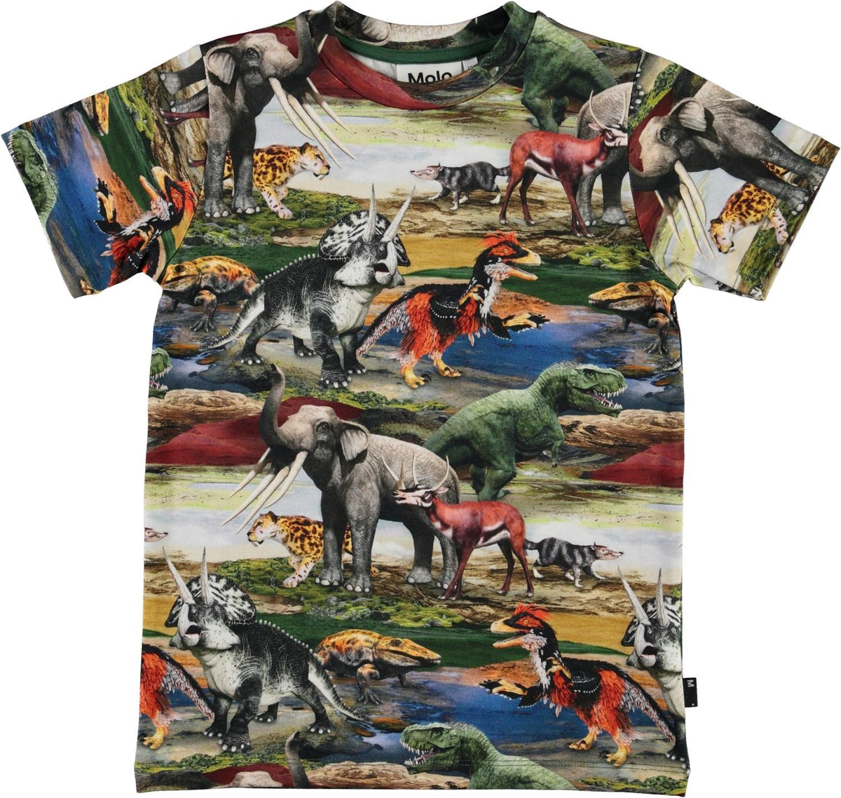 Jungen T-Shirt Ralphie Ancient World