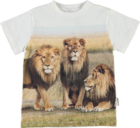 Jungen T-Shirt Road Lions