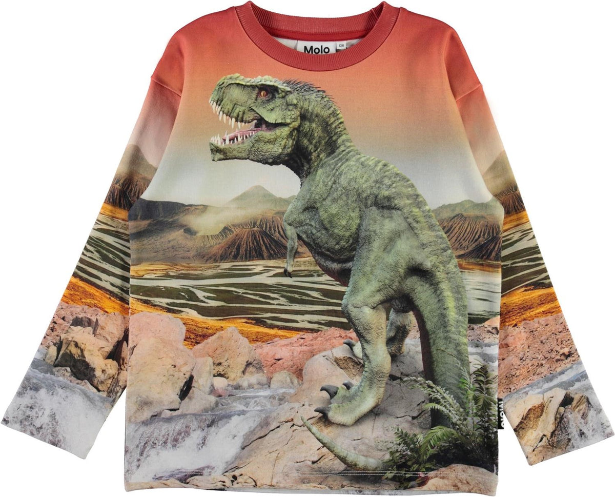 Jungen Pullover Sweater Mountoo Dino Landscape