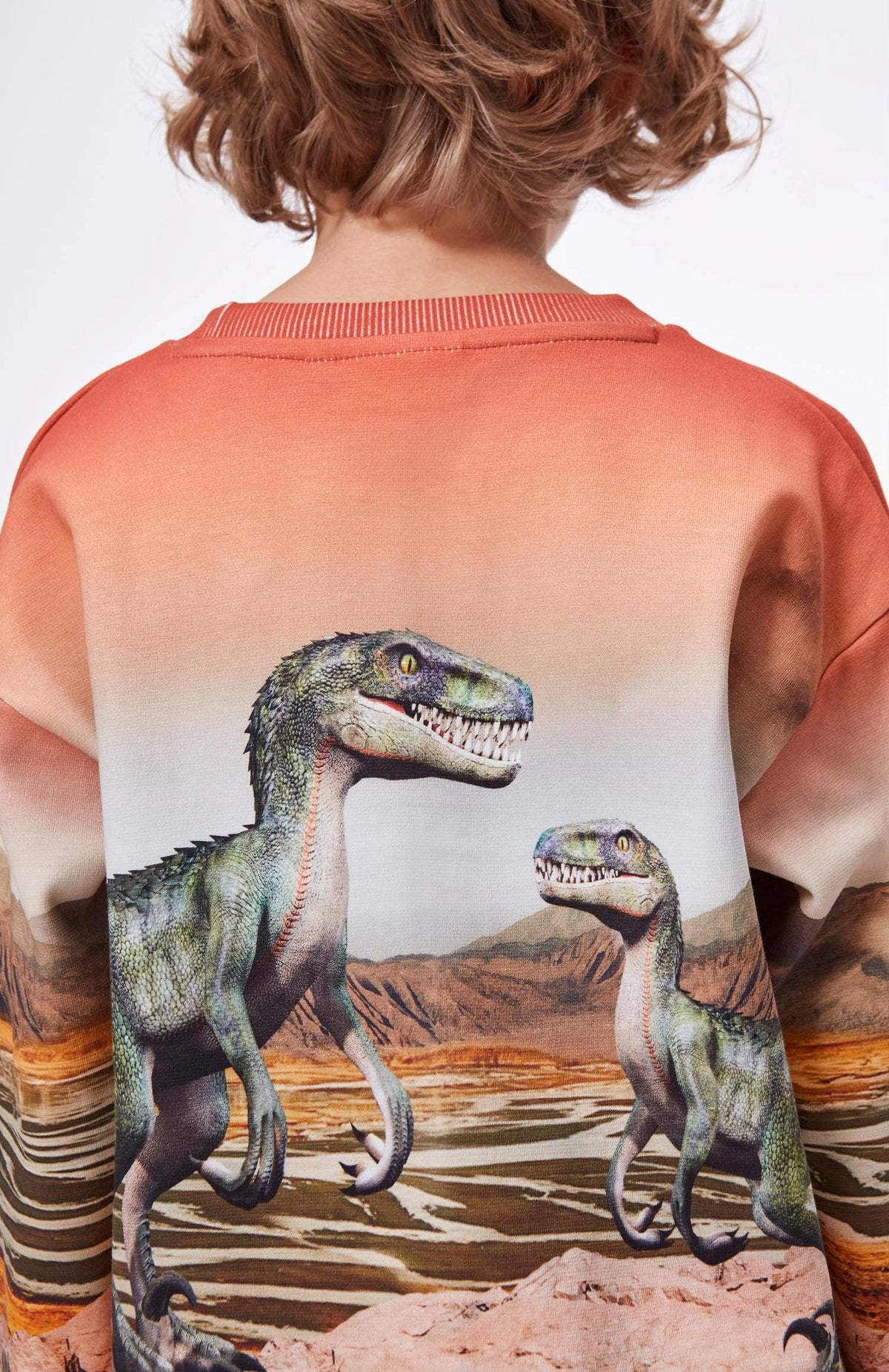Jungen Pullover Sweater Mountoo Dino Landscape