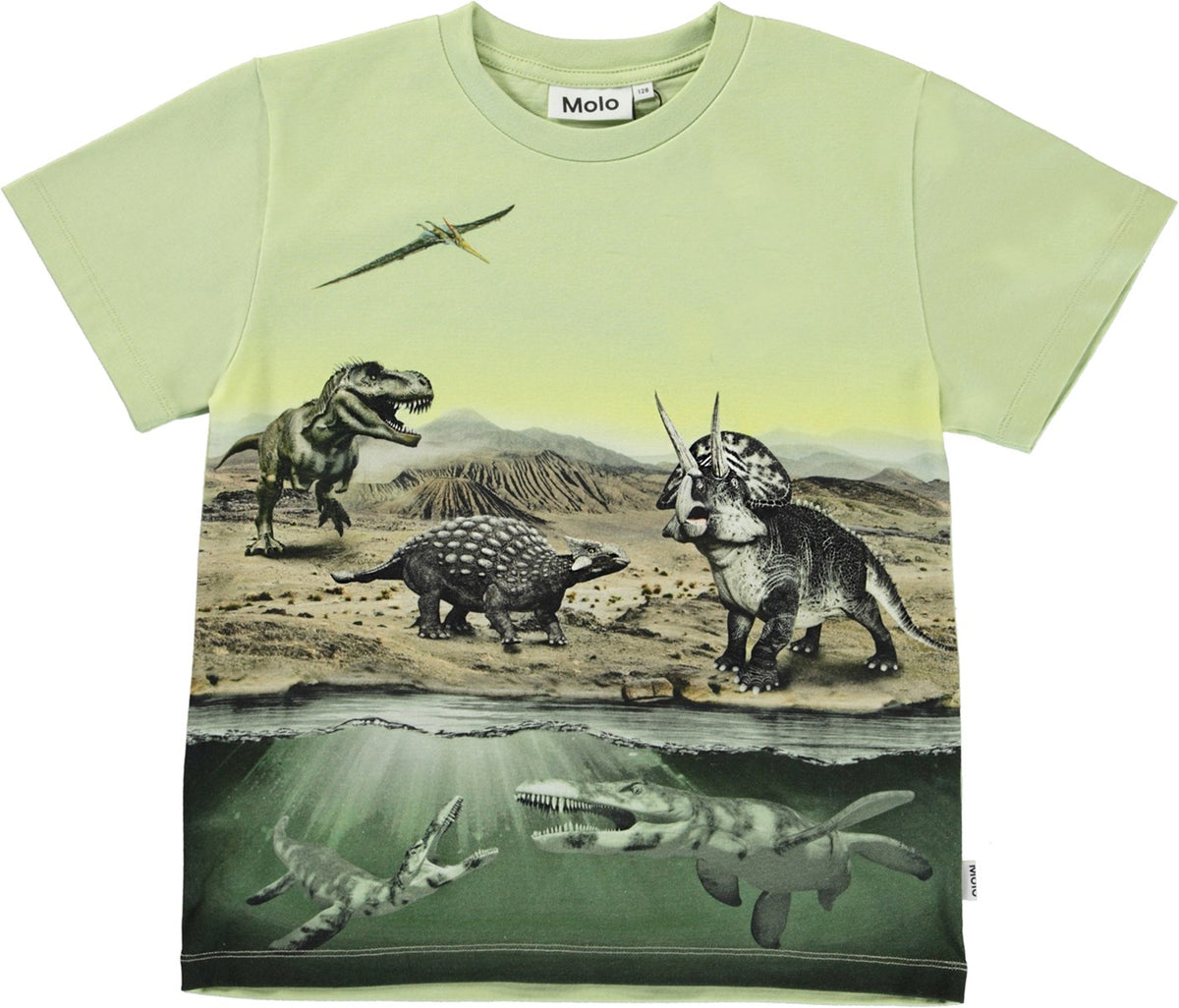 Jungen T-Shirt Rame Dino Earth Grün
