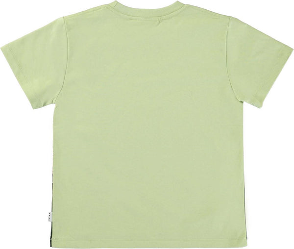 Jungen T-Shirt Rame Dino Earth Grün