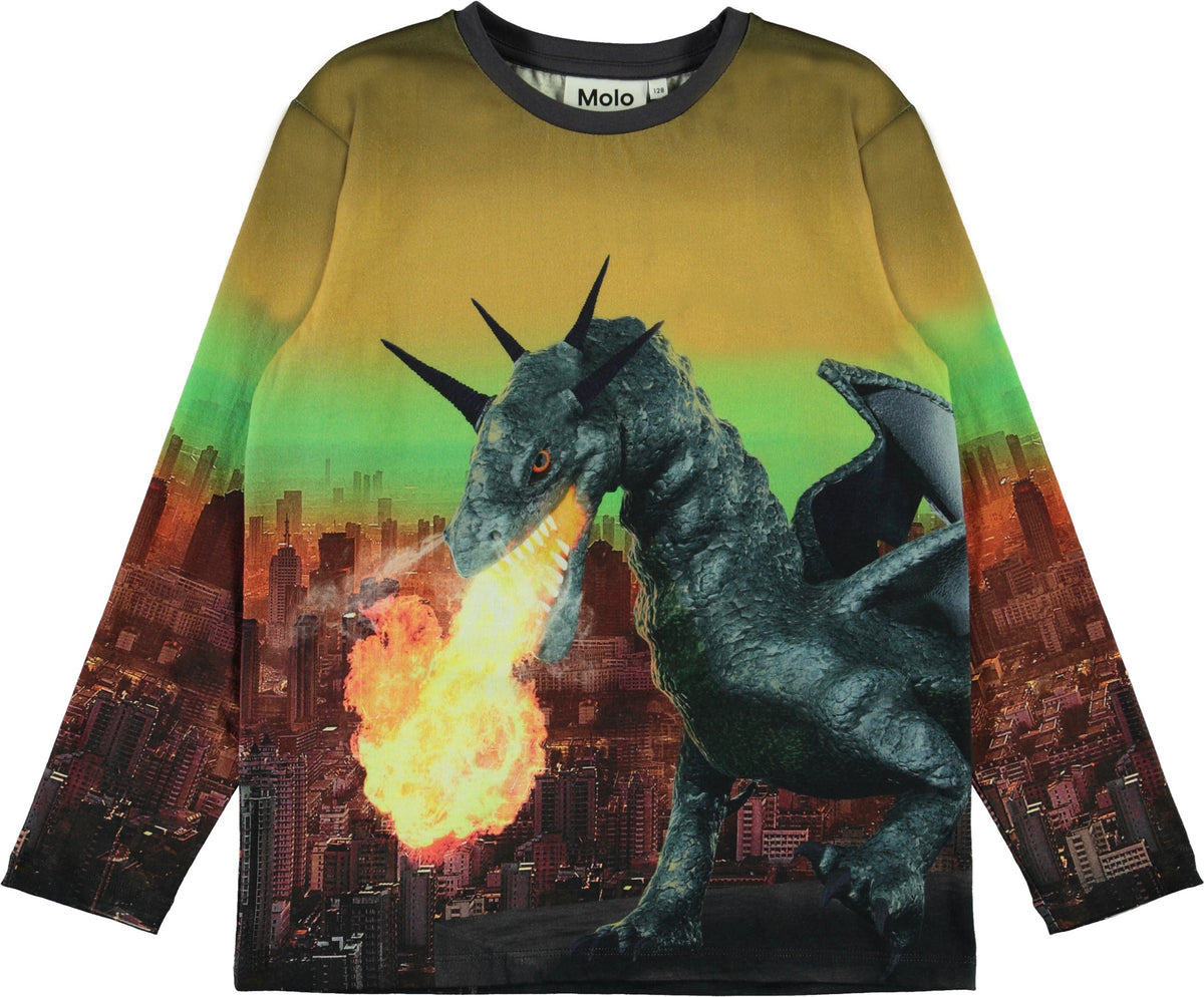 Jungen Langarm Shirt Ravenal Dragon