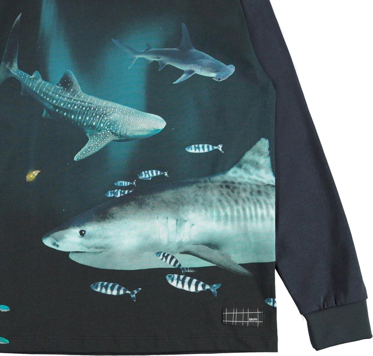 Jungen Langarm Shirt Rexton Dark Sharks