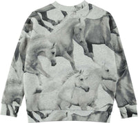 Mädchen Pullover Sweater Maxi Greymelange Horse