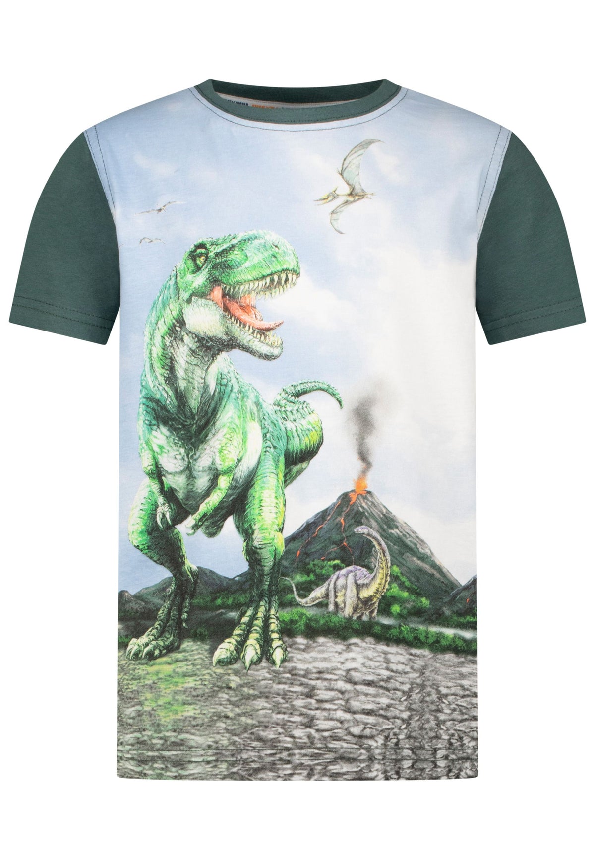 Jungen T-Shirt T-Rex Photo 33812723 Grün