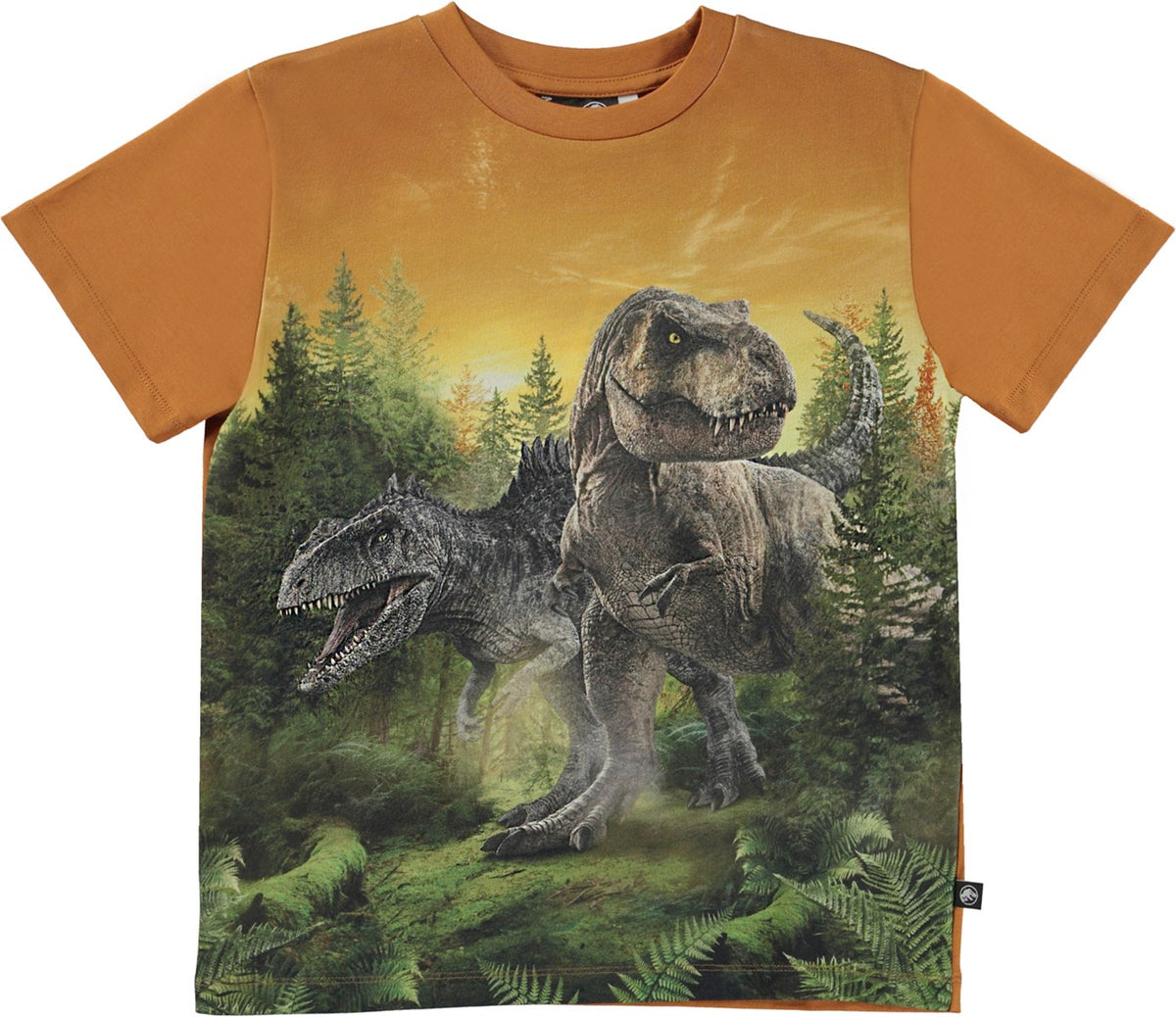 Jungen T-Shirt Roxo Dino Forest