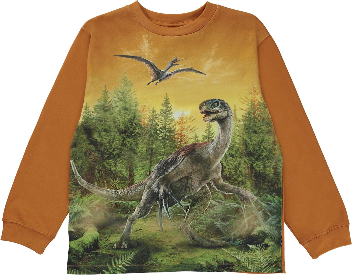 Jungen Langarm Shirt Rube Forest Dino