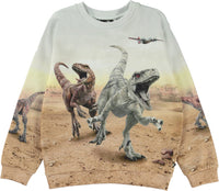 Jungen Pullover Sweater Miksi Dinos Galore