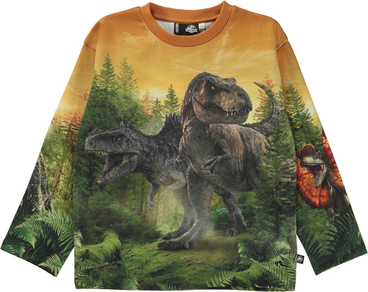 Jungen Pullover Sweater Mountoo Dino Forest