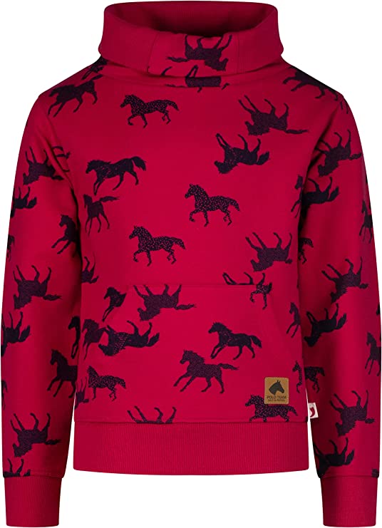 Mädchen Pullover Sweatshirt 25111850 AOP Horses Very Berry