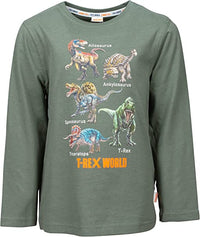 Jungen Langarm Shirt Print Dinosaurs T-Rex 25813704 Grün