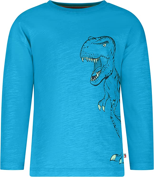 Jungen T-Shirt T-Rex 33113775 Blau